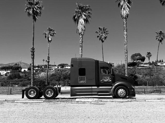 IMS West truck tractor parked in front of palm trees